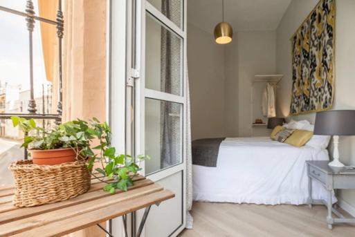 Apartment Charming Luminous Flat In The Center Of