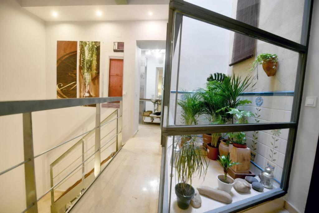 Loft Virgen de la Alegría