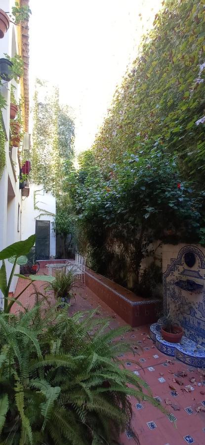 Apartamento Santa Cruz 3 * Seville