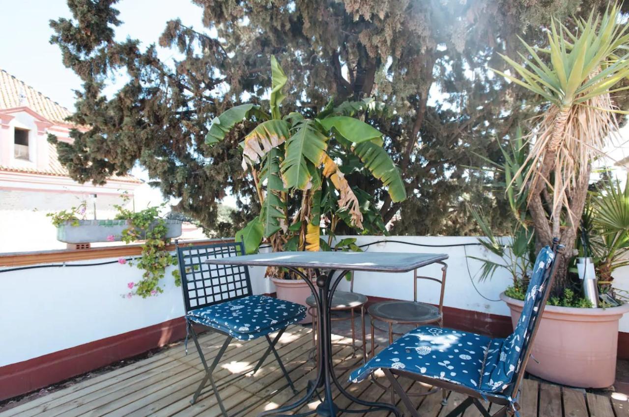Penthouse Private Terrace, Near Cathedral, And To Real Maestranza Seville