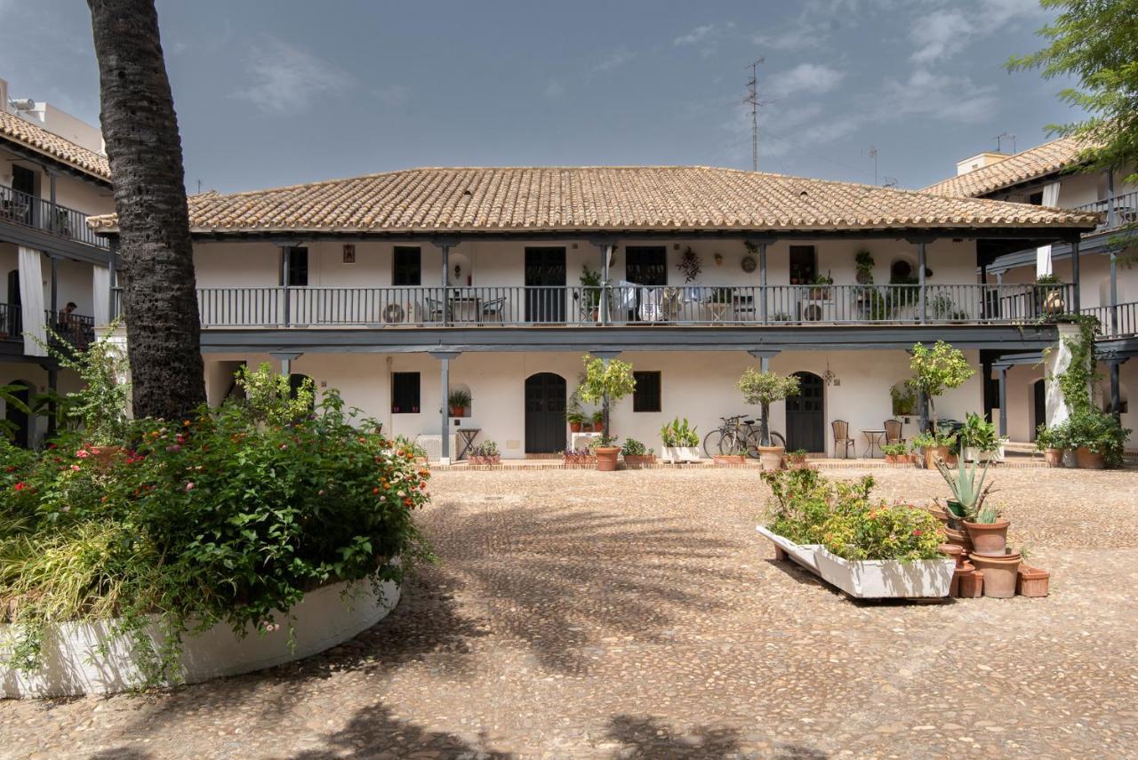 Andalusian Courtyard * Seville