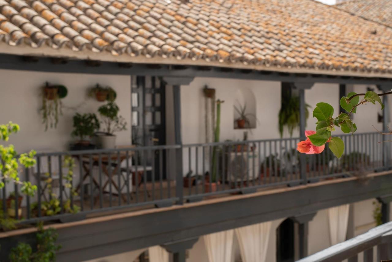 Andalusian Courtyard