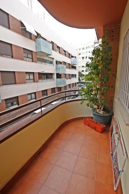 Apartment Clasica: Amigos Y Familia. Parking Gratis! *