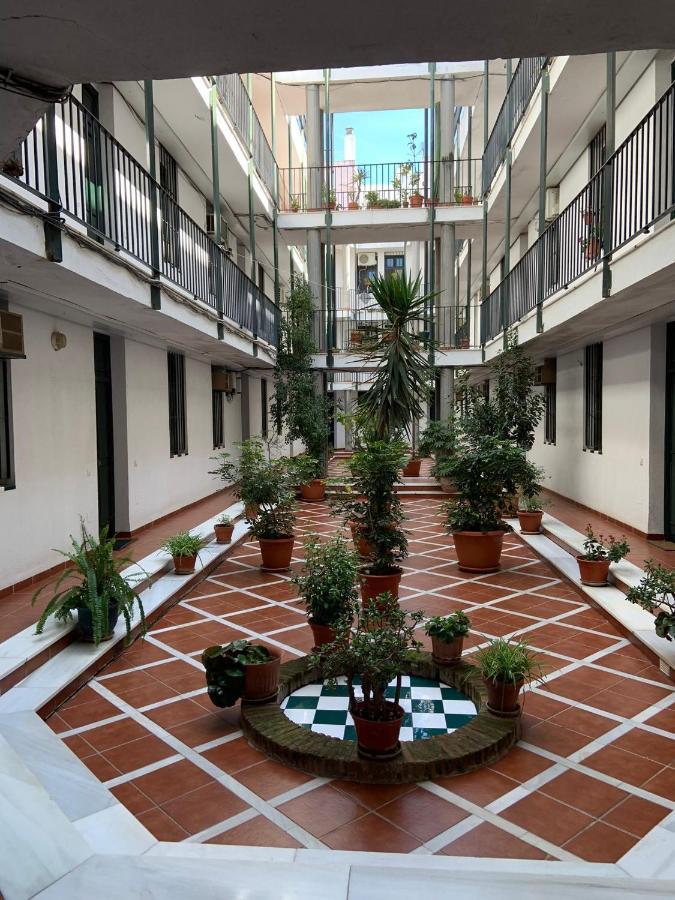 Apartment Apartamento Estrella