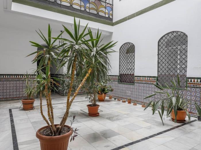 Fantastico Junto Museo Bellas Artes Centro * Seville