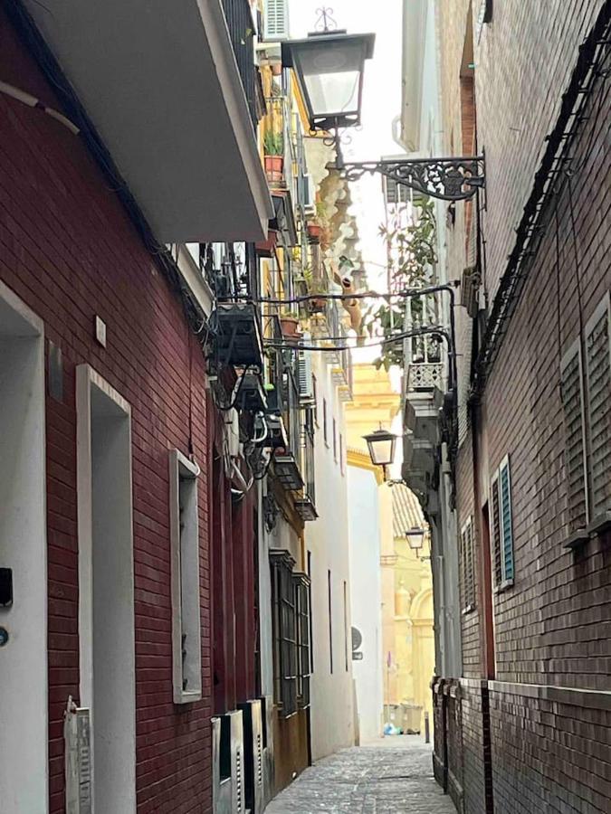 Encantador Exclusivo Centrico Seville