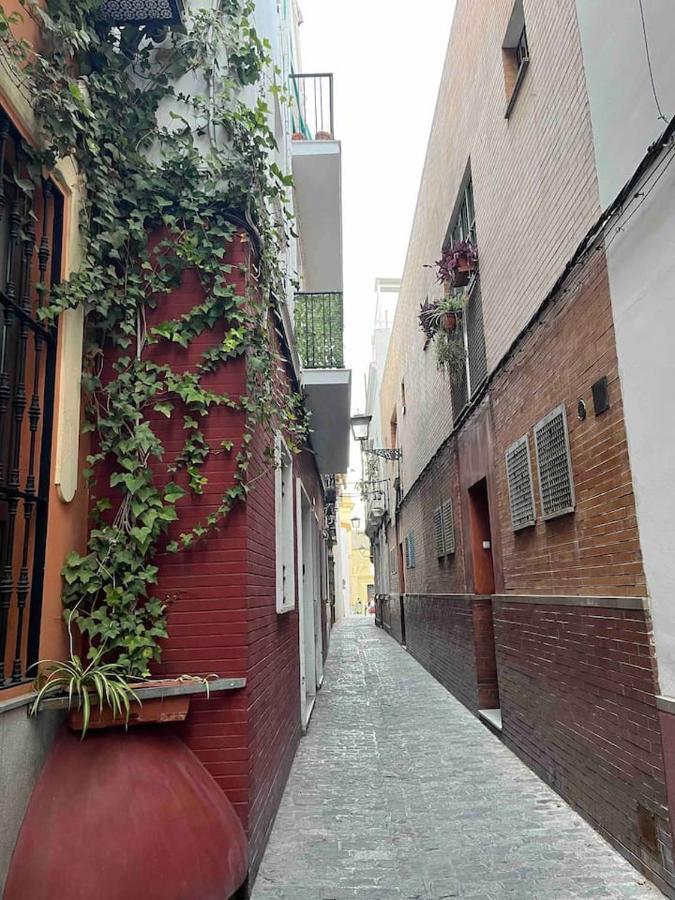 Encantador Exclusivo Centrico Apartment Seville