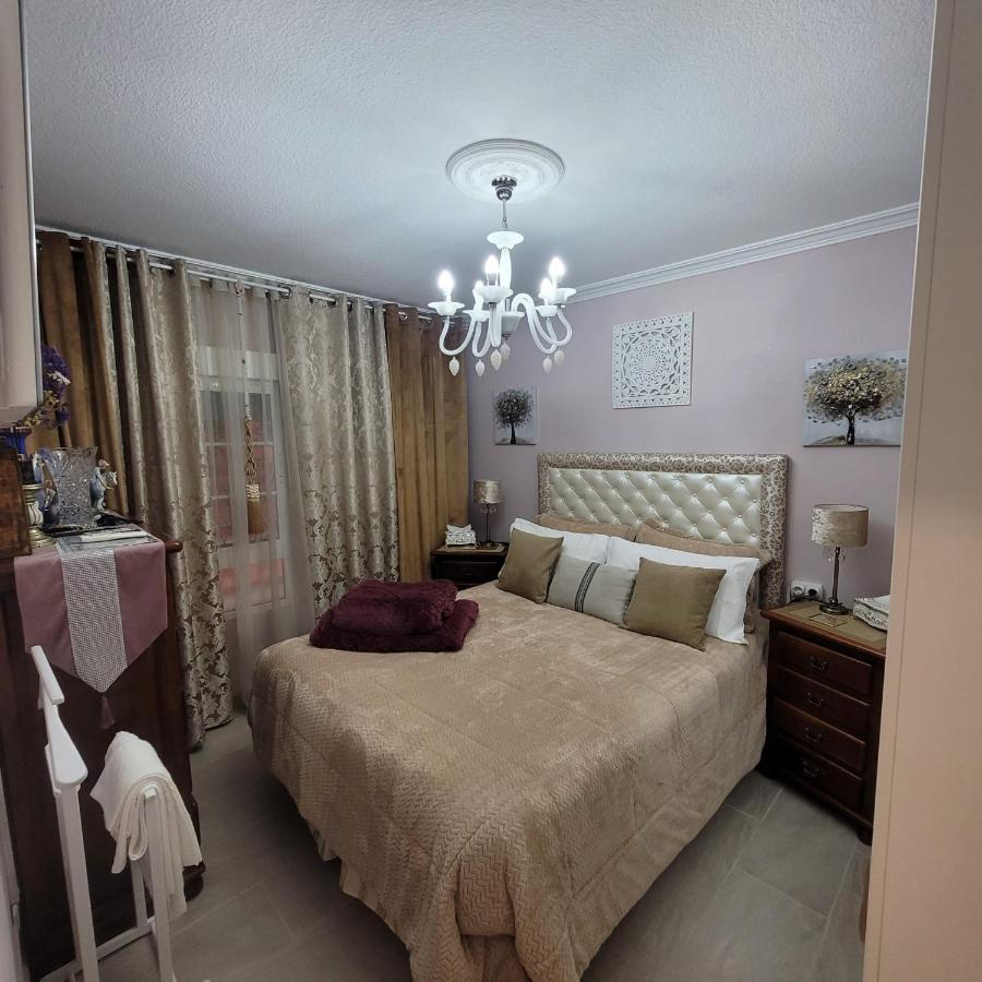 Shared A With A View Of The Garden Homestay Seville