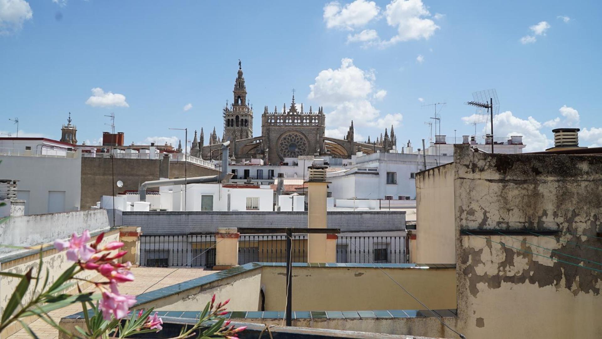 Blue House Arenal Seville