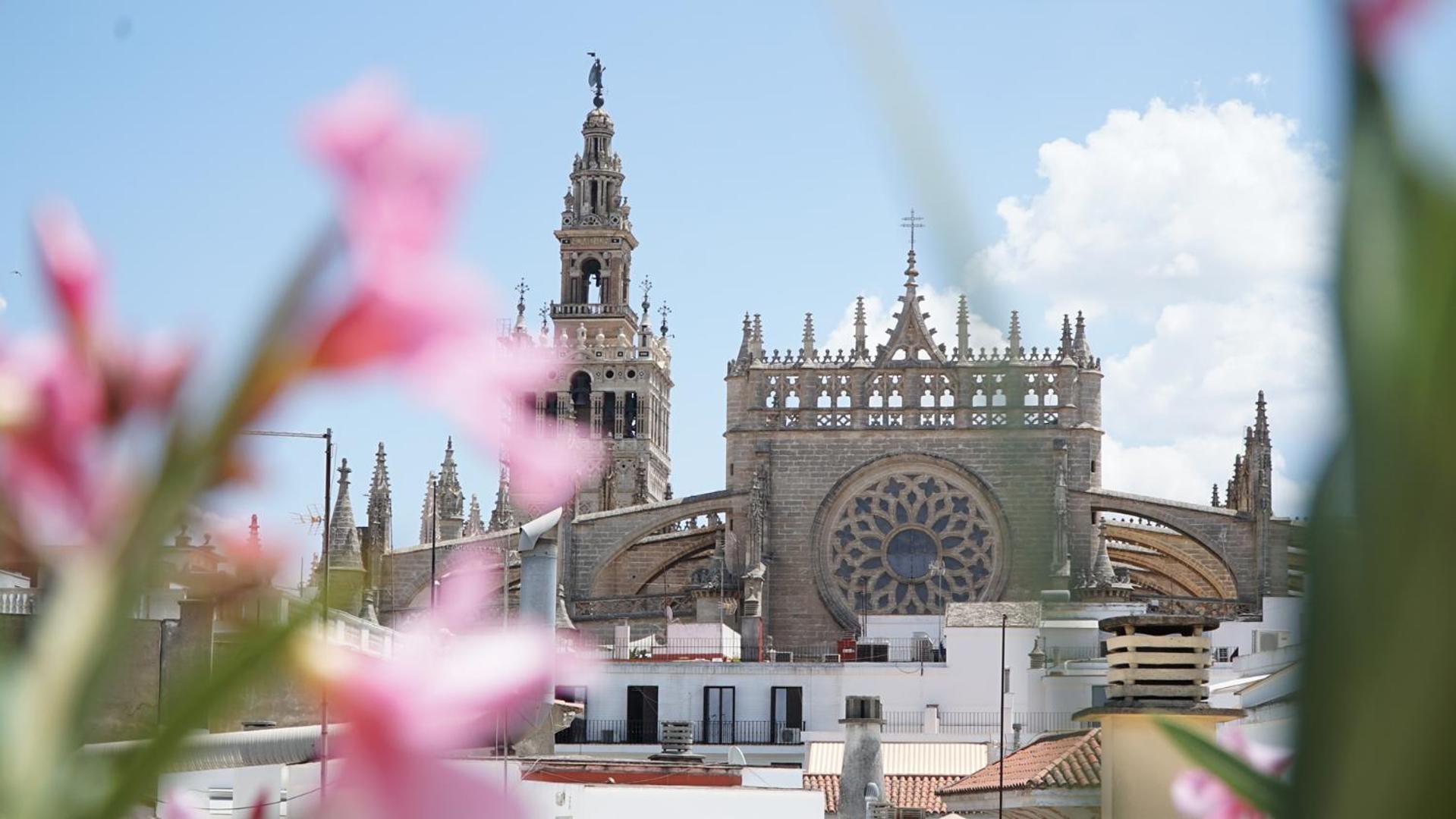 Blue House Arenal Seville