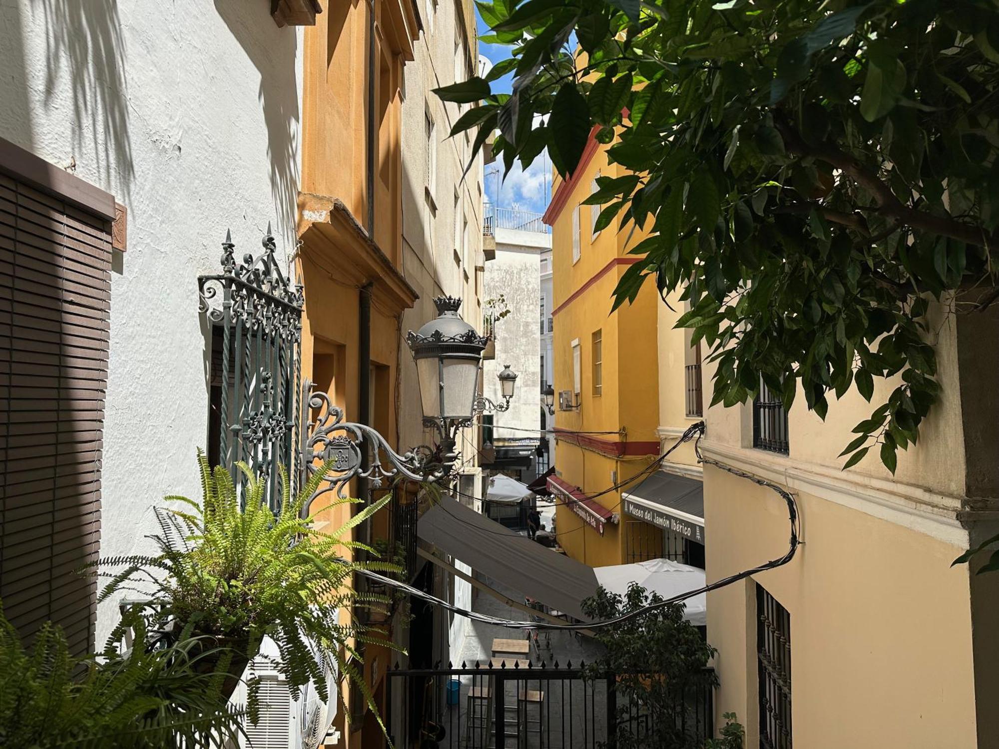 Apartment Blue House Arenal