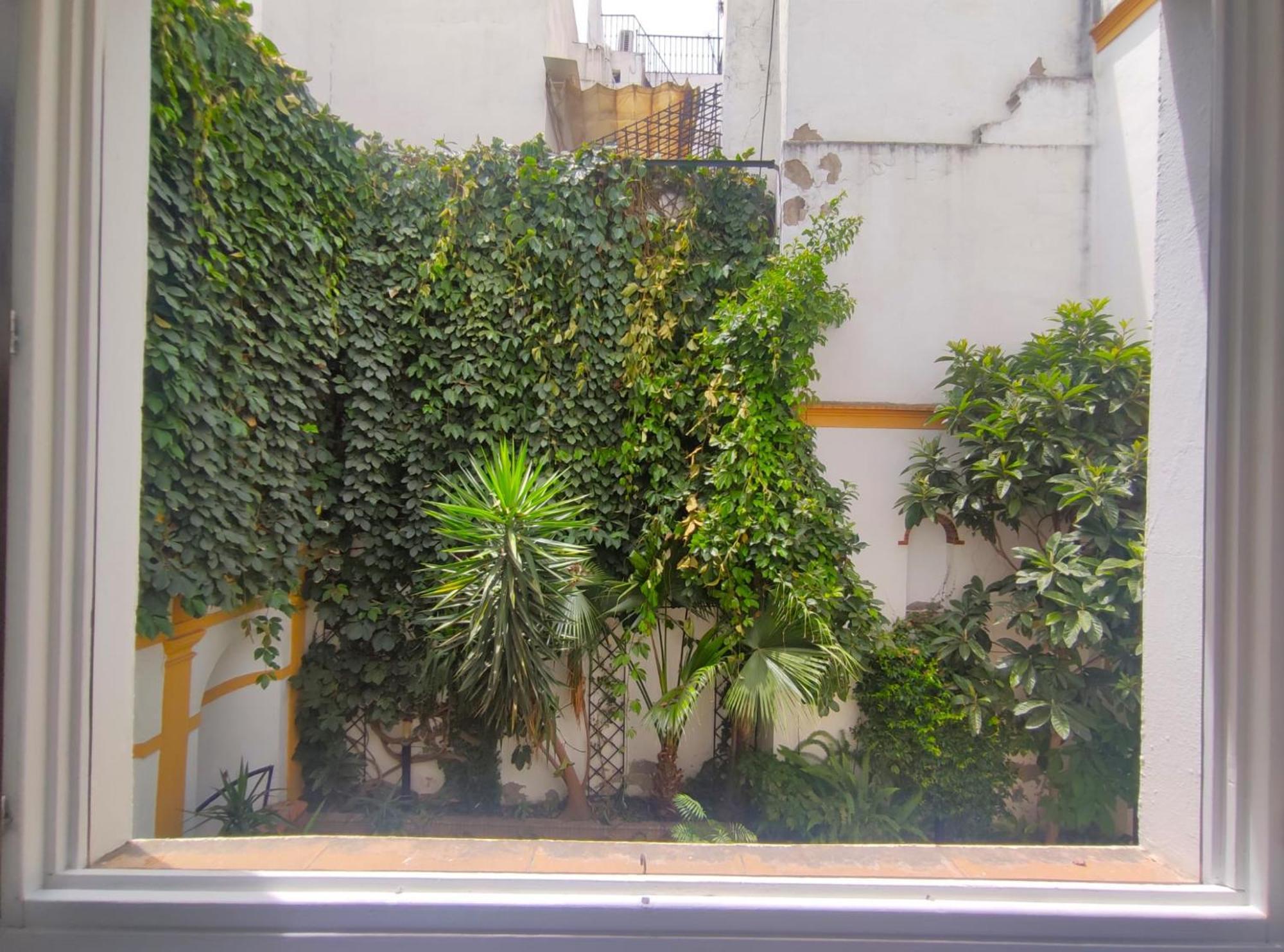 Palacio De Marqueses De Monsalud * Seville