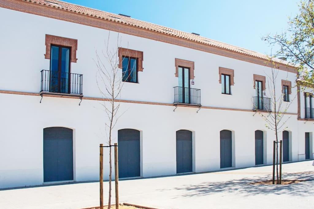 Live Like A Local In Contemporary Duplex Seville