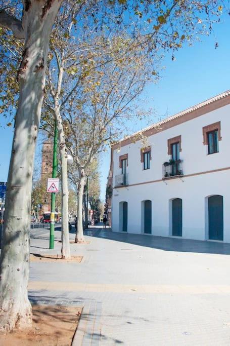 Live Like A Local In Contemporary Duplex * Seville