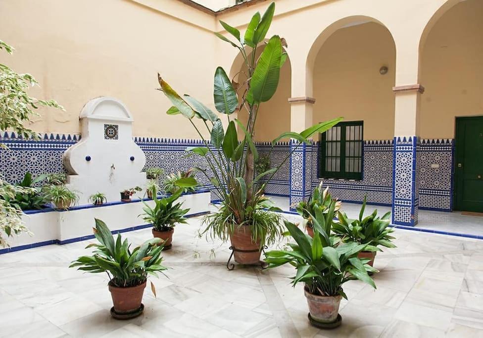 Idyllic & Loveliest With Patio.private Parking * Seville