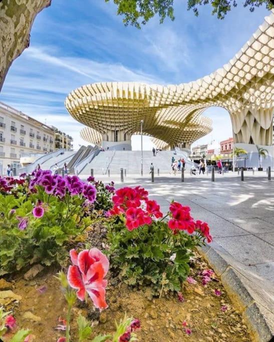 Colosal Seville