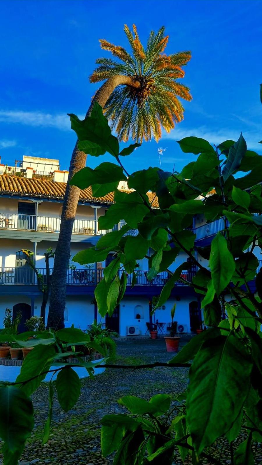 Andalusian Courtyard Seville
