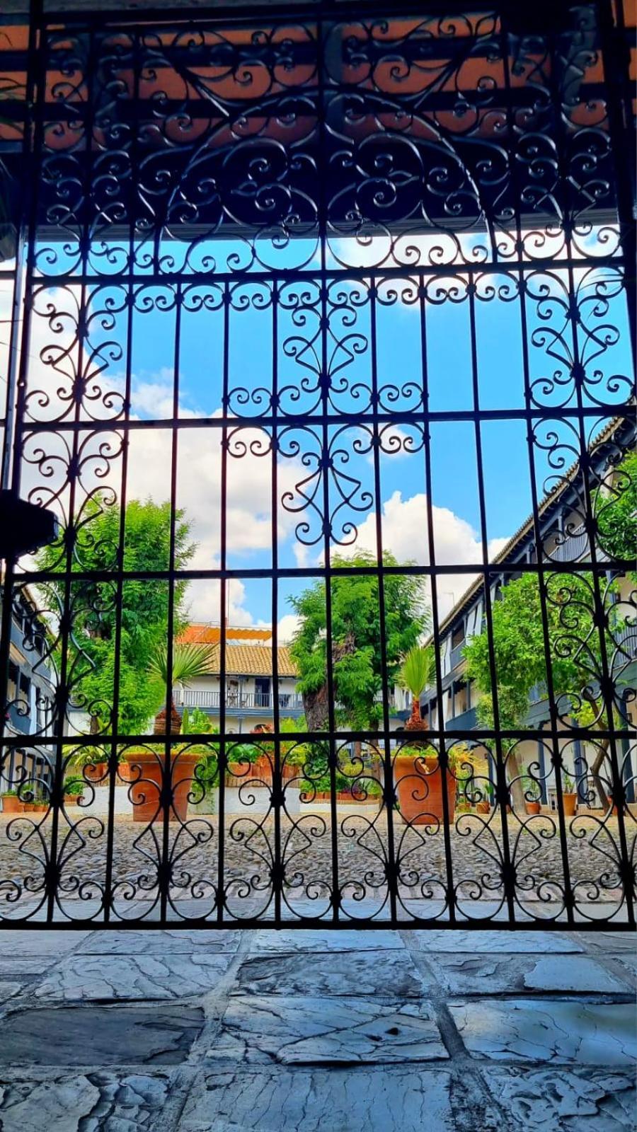 Andalusian Courtyard