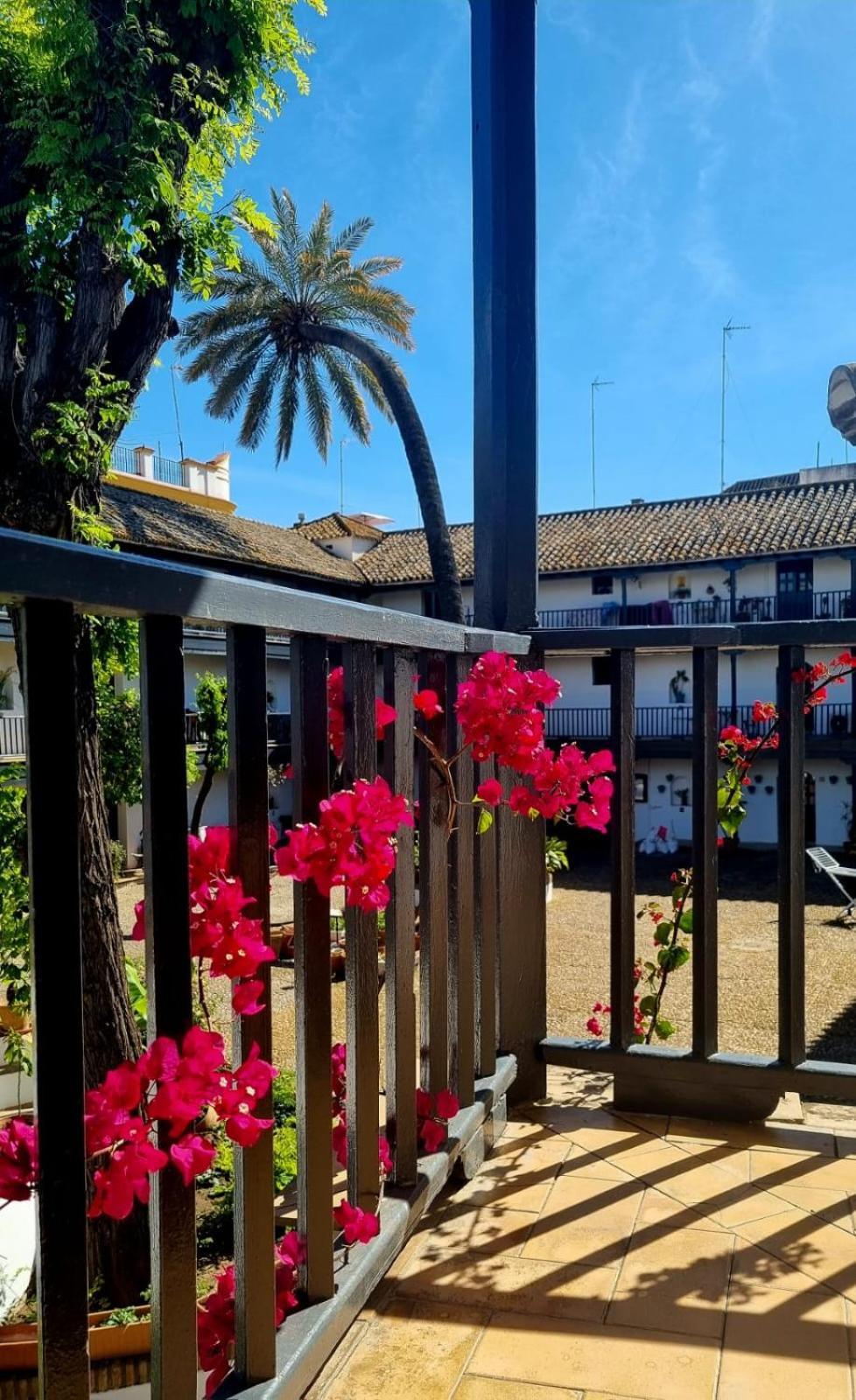 Apartment Andalusian Courtyard Seville