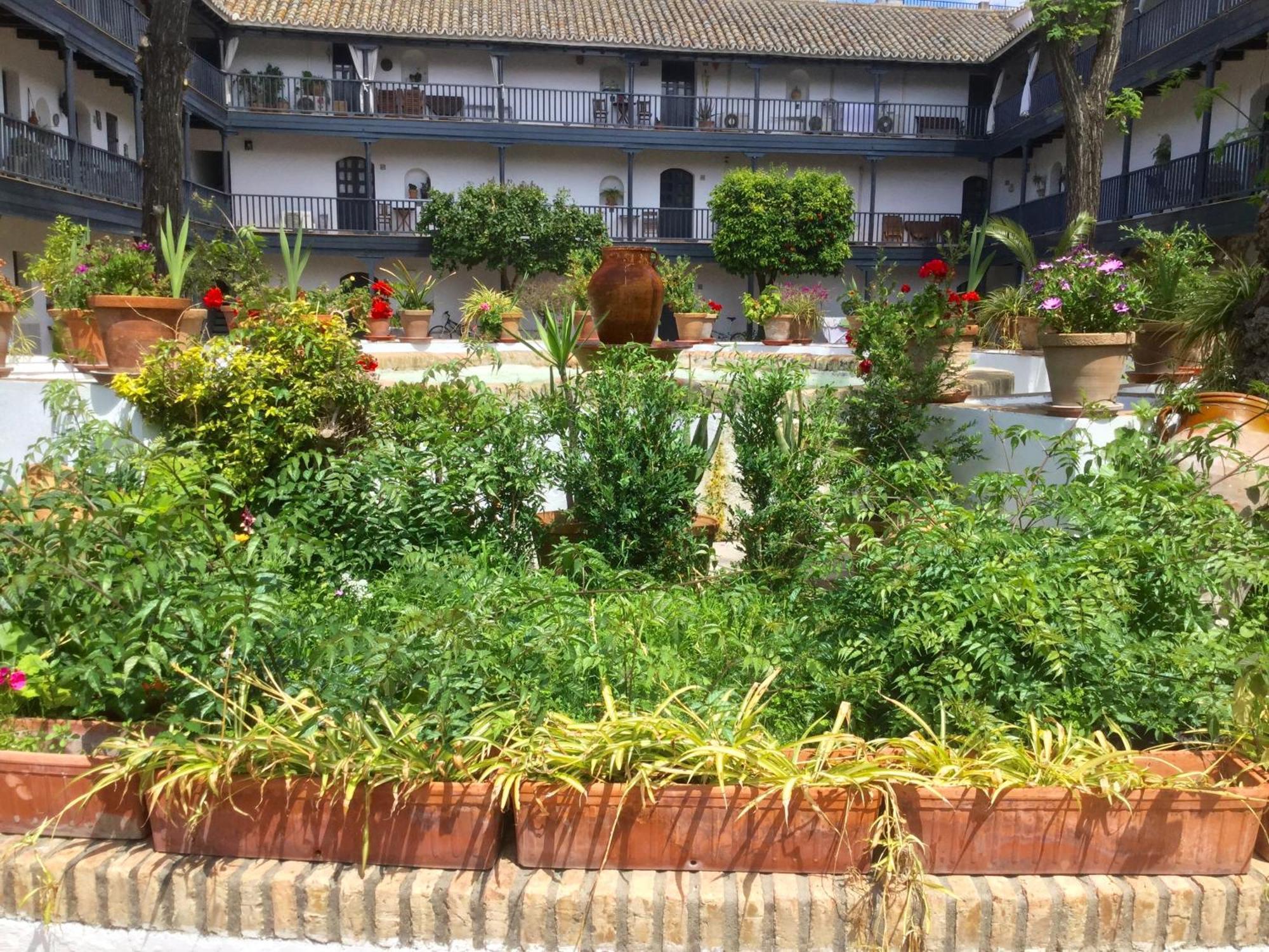 Andalusian Courtyard *