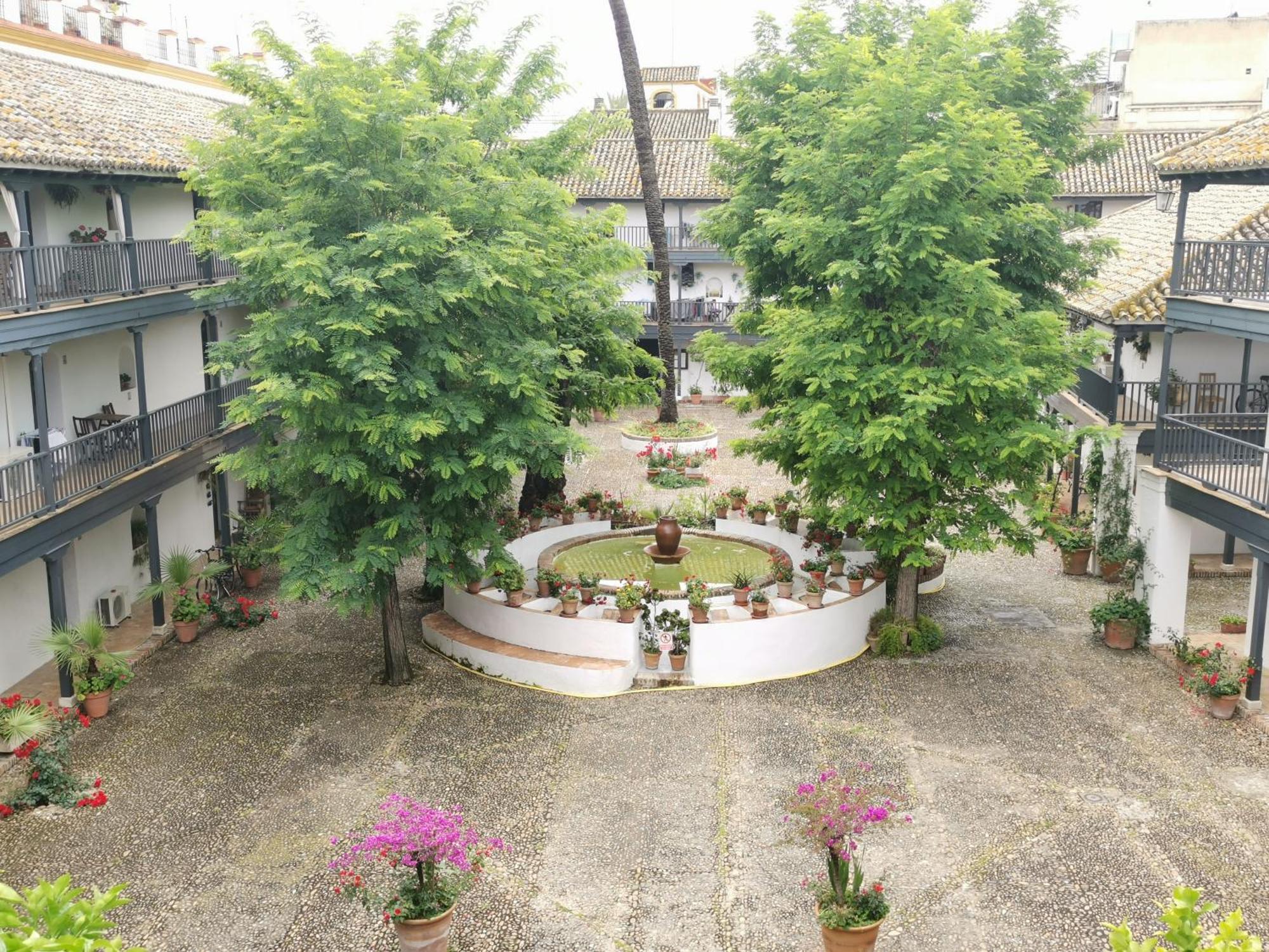 Apartment Andalusian Courtyard *