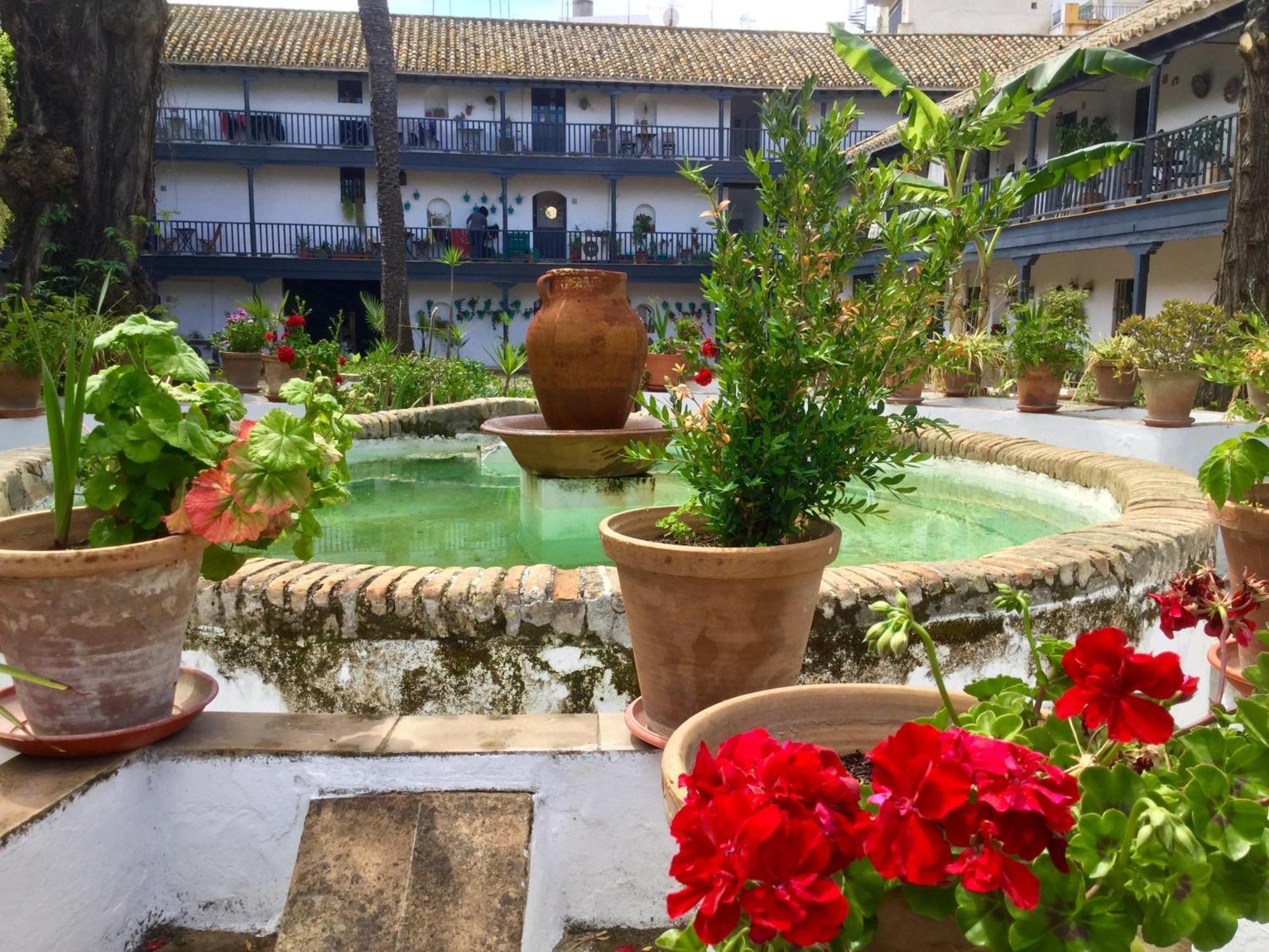 Andalusian Courtyard Seville