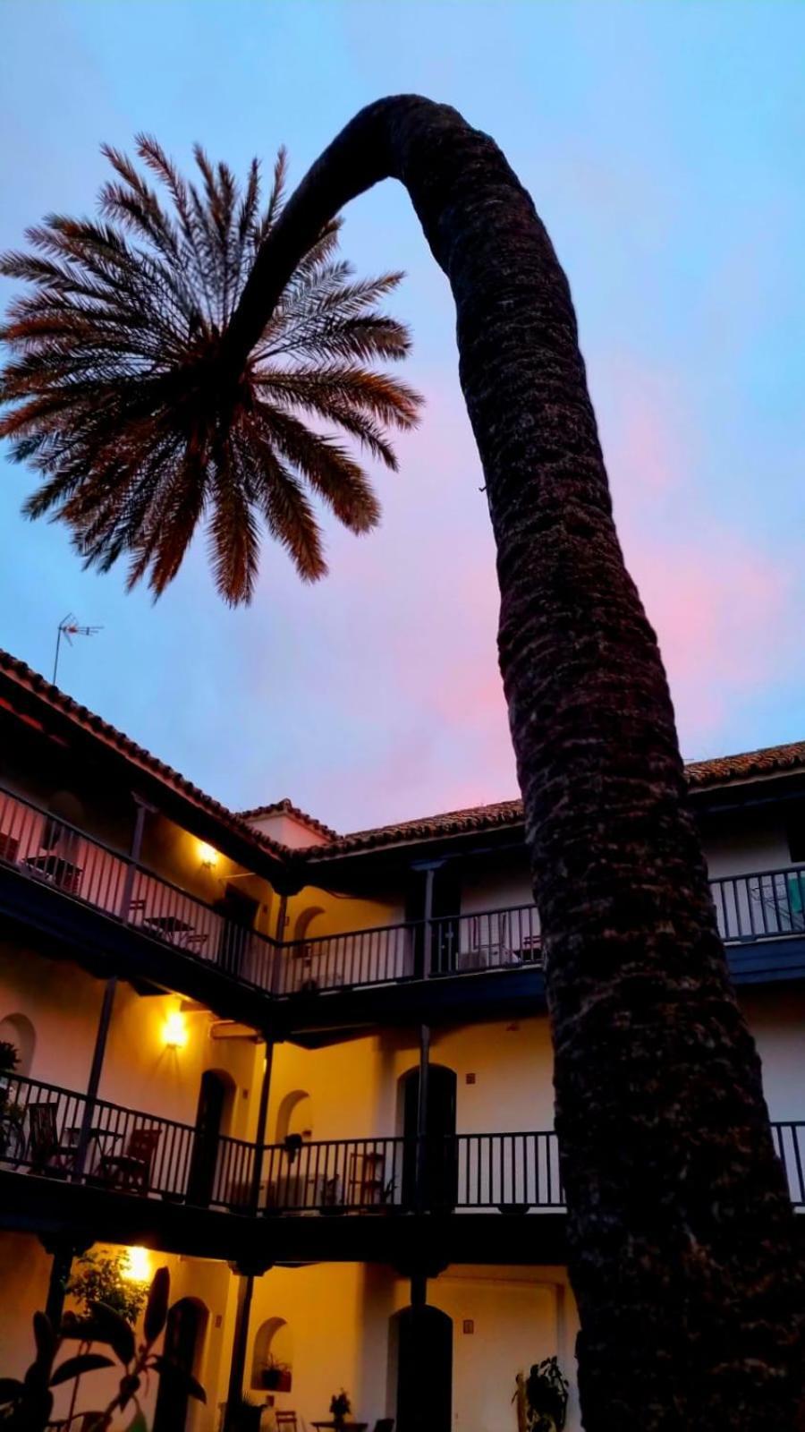 Andalusian Courtyard * Seville