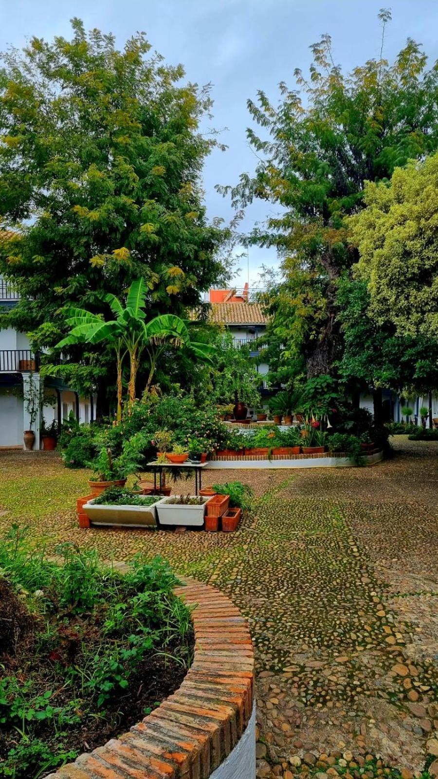 Andalusian Courtyard Apartment