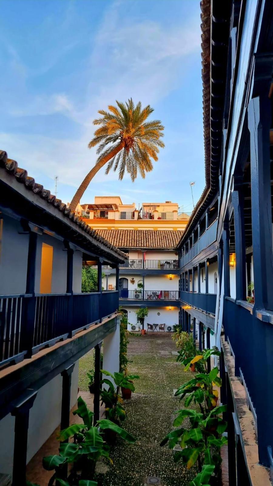 Andalusian Courtyard * Seville