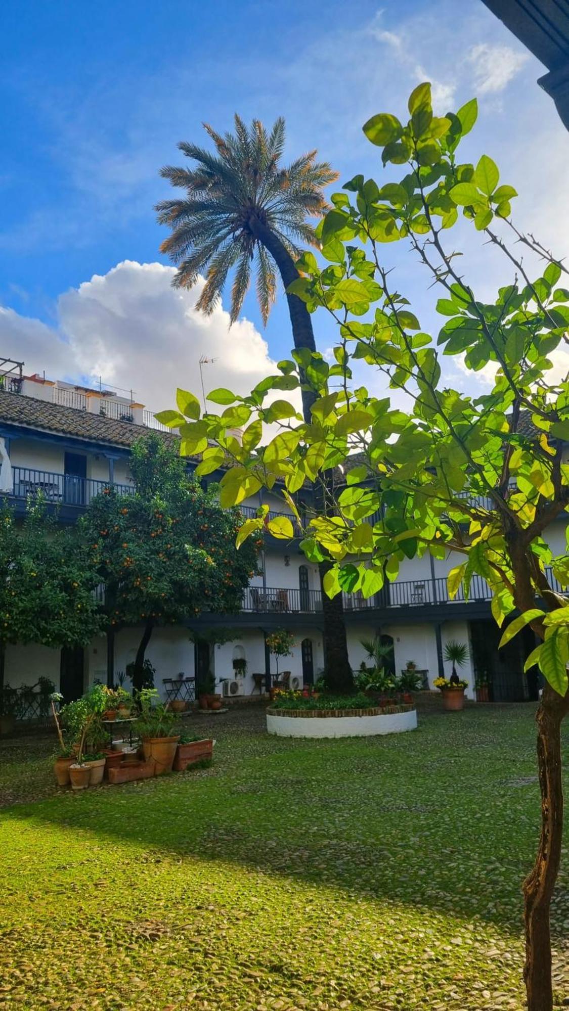 Apartment Andalusian Courtyard