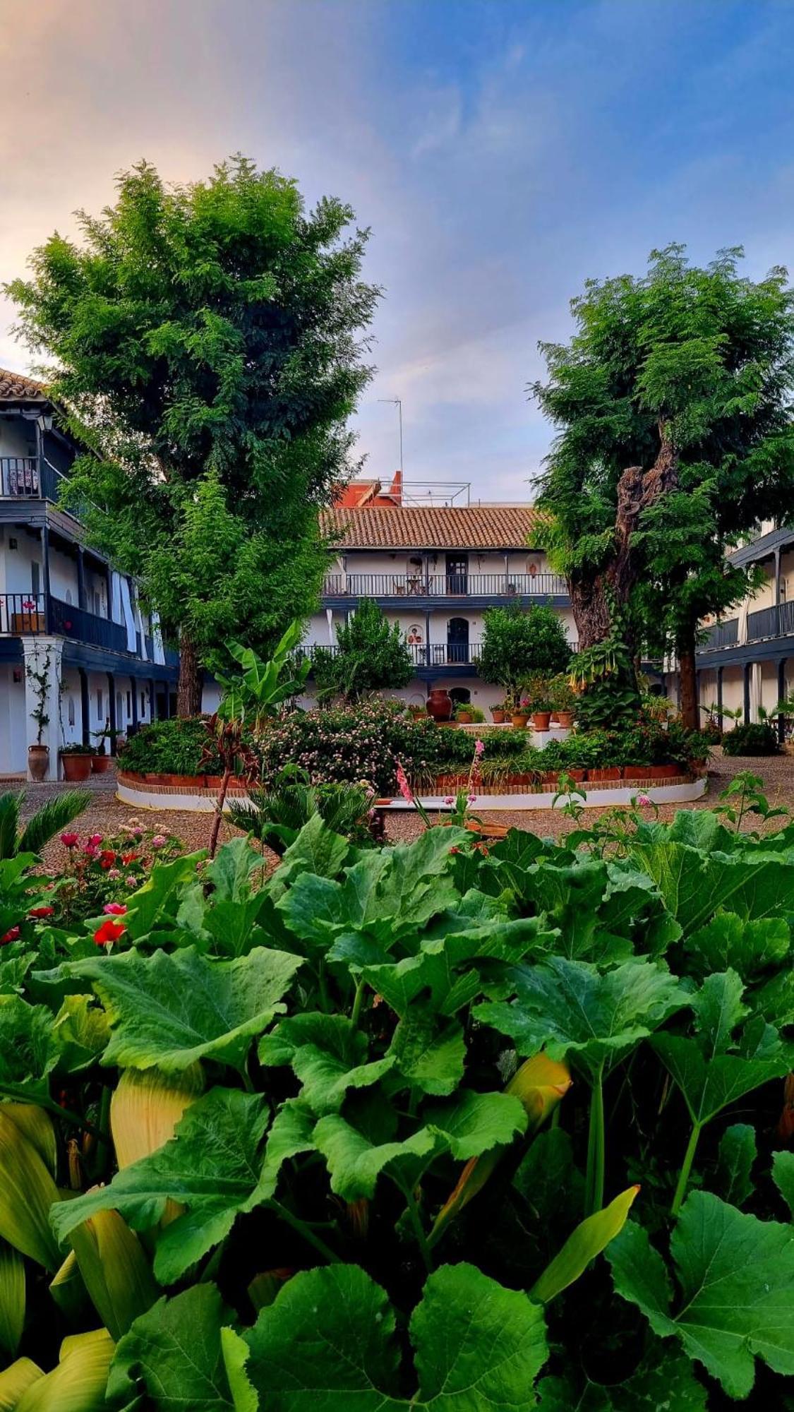 Andalusian Courtyard *