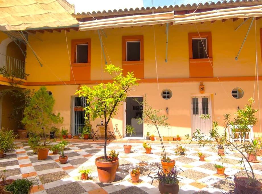 Santo Rey Seville