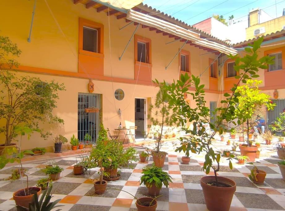 Apartment Santo Rey *