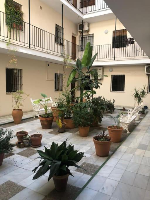 San Bernardo * Seville