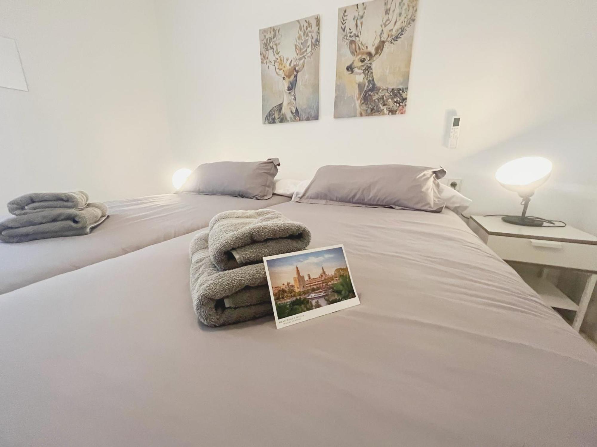 Center Veronica Confort Apartment