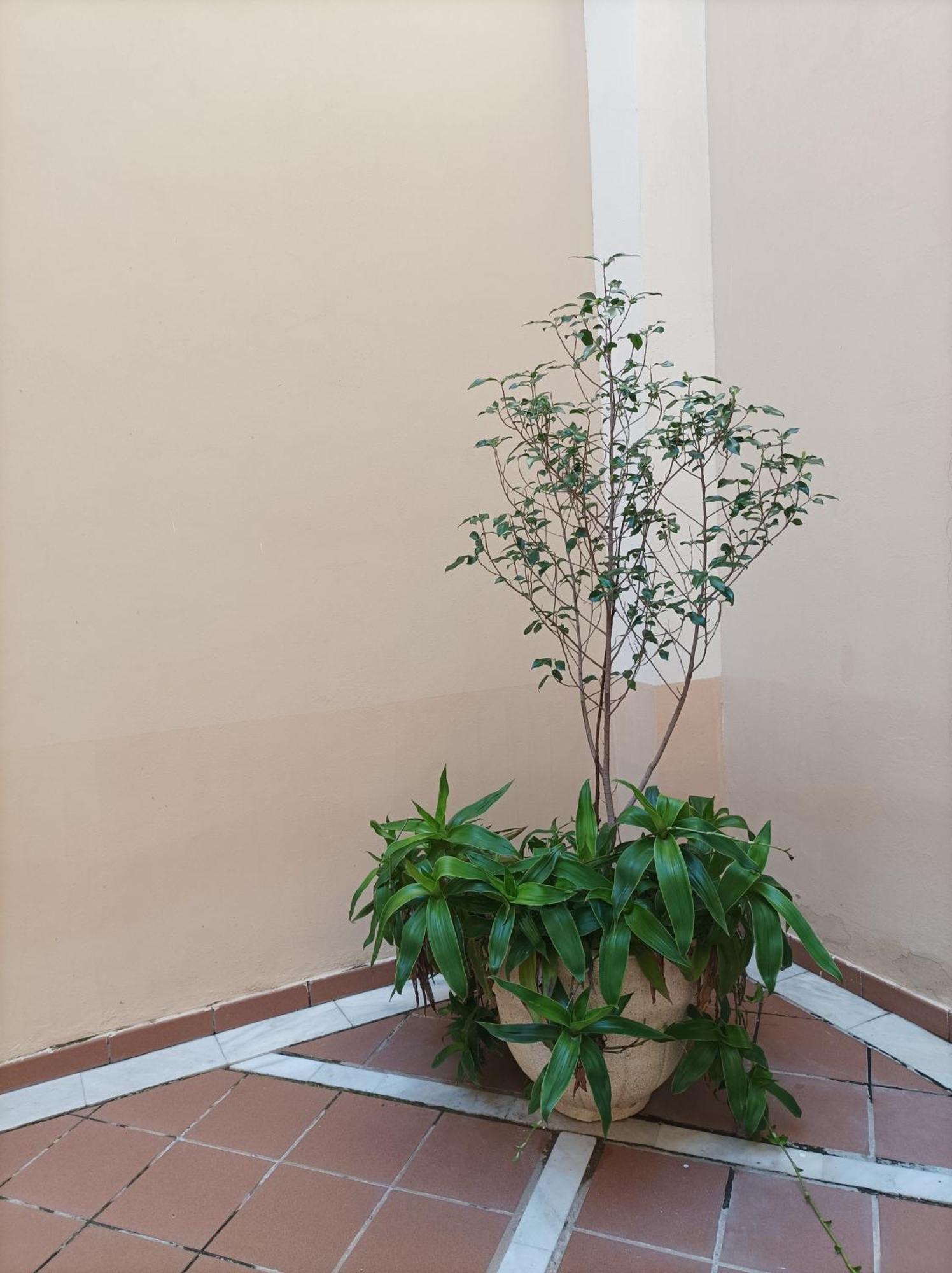 De Lux Apartment Seville