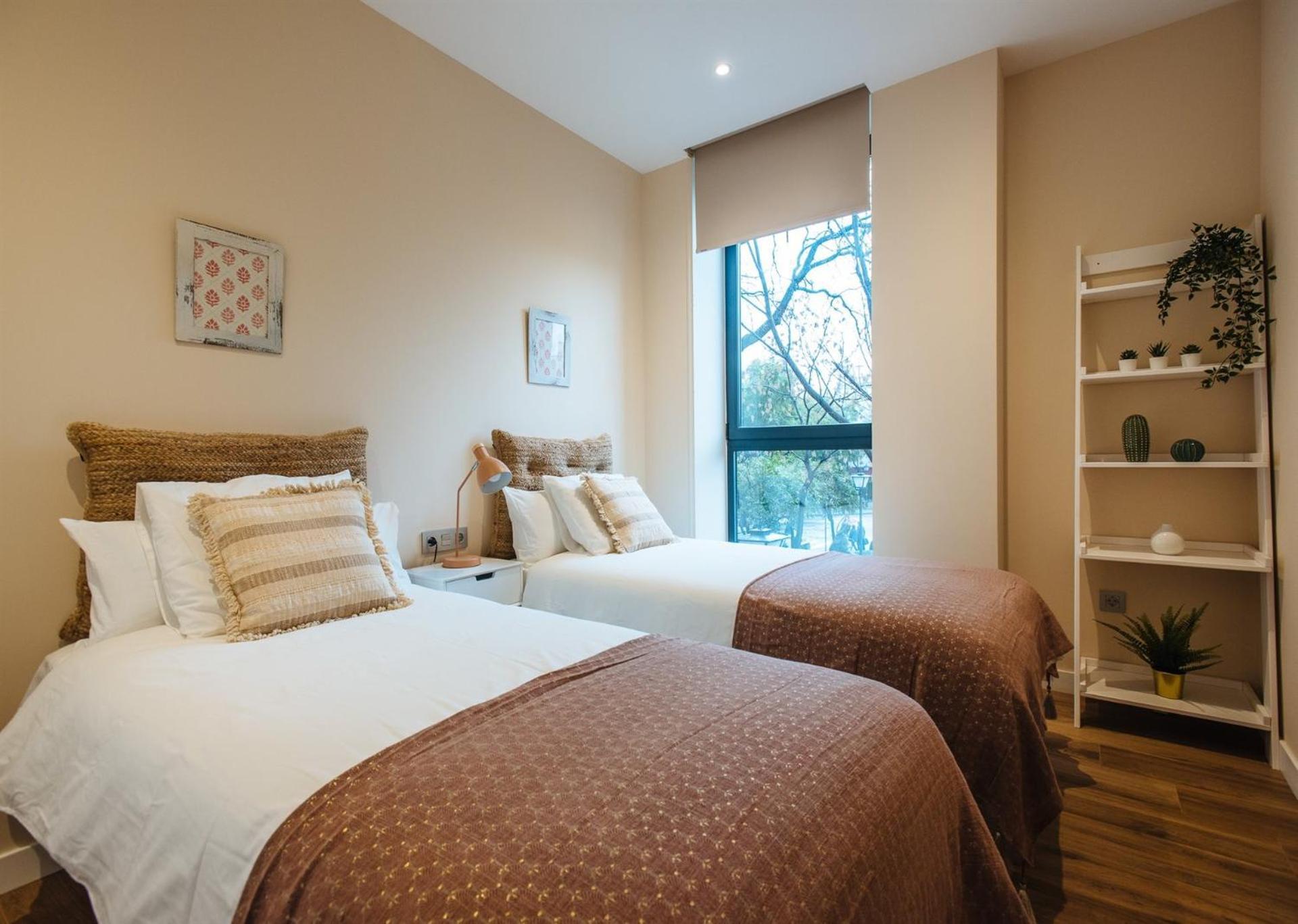 San Martin With Private Terrace Apartment *