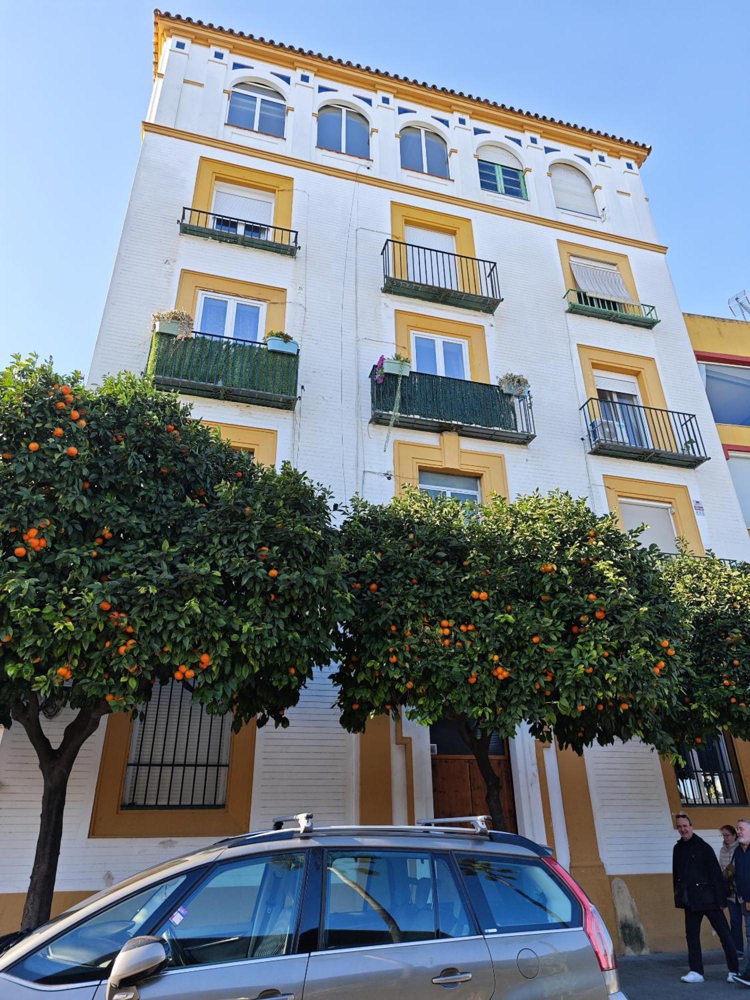 Betis Del Oro Holiday home