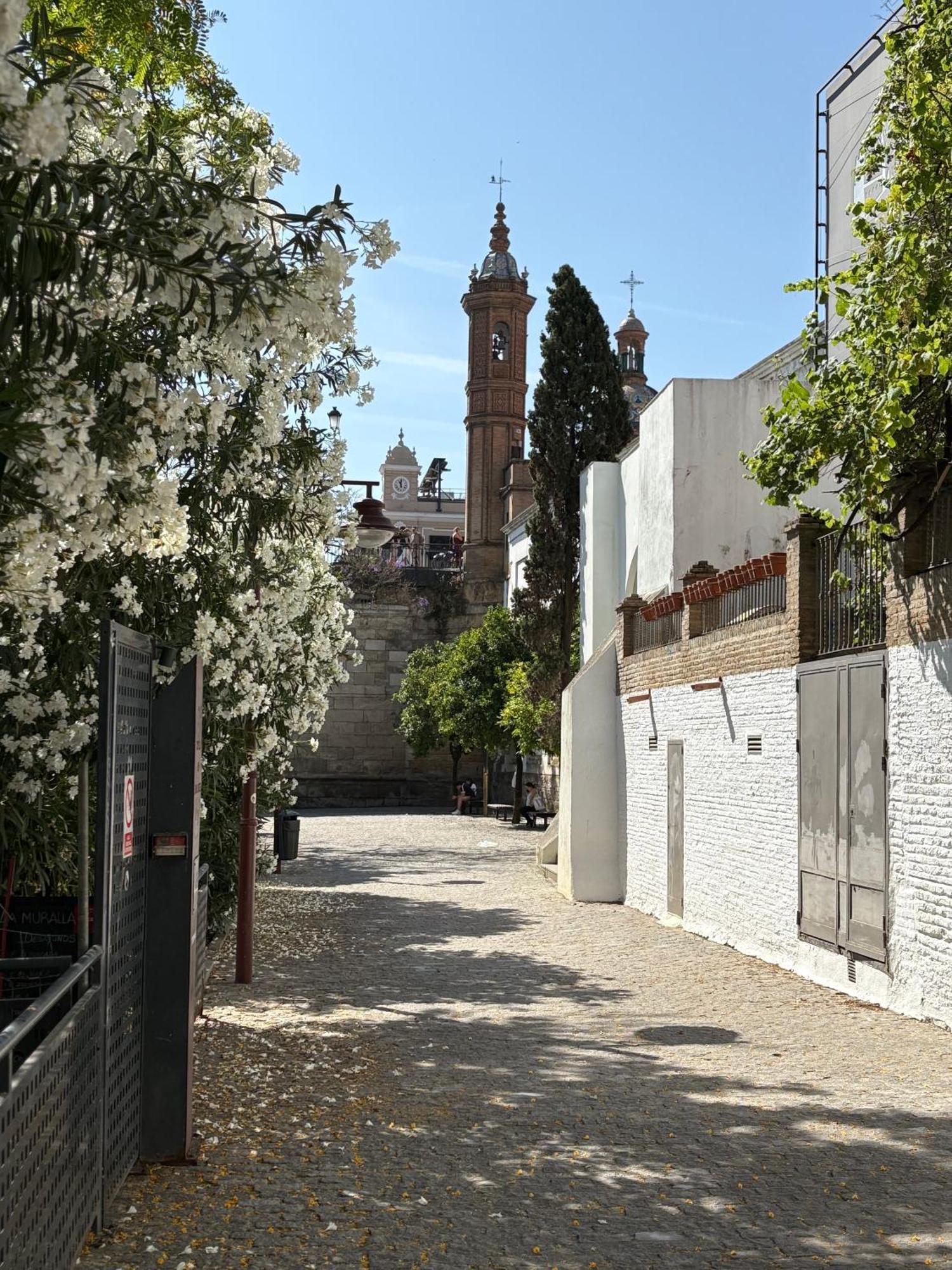 Apartment Armonia Seville