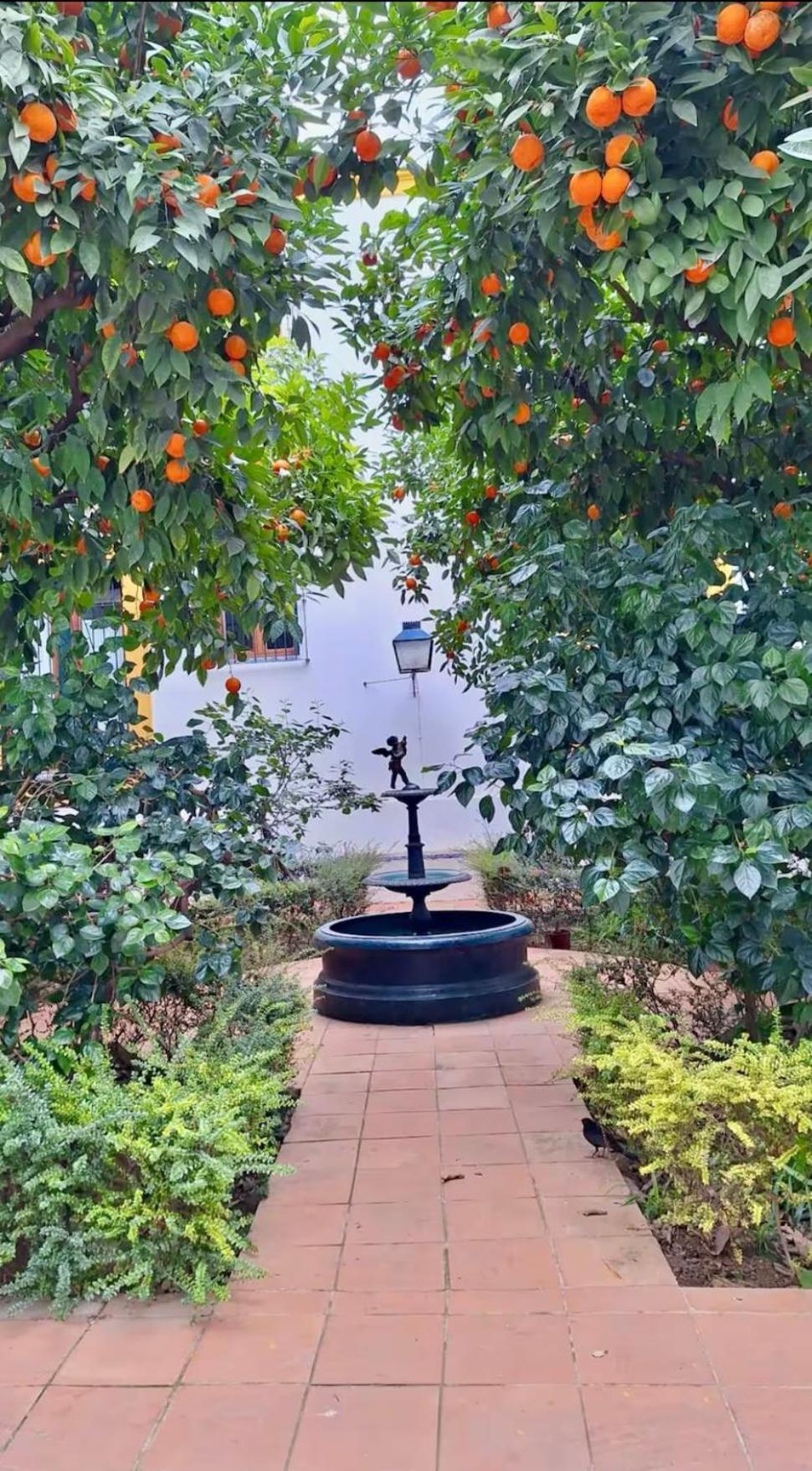Apartment Casa Sefarad Seville