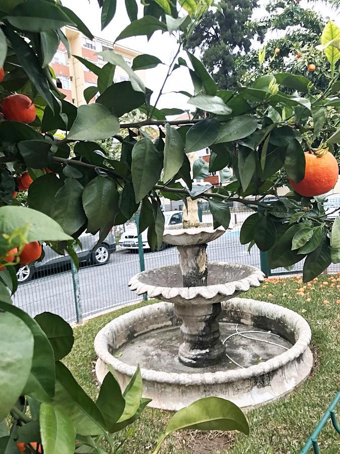 Apartamento Gifsa - Parque Alcosa *