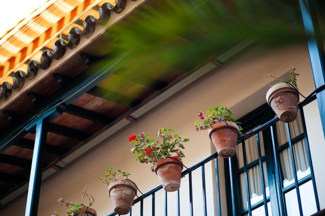 Alohamundi Lumbreras I Seville