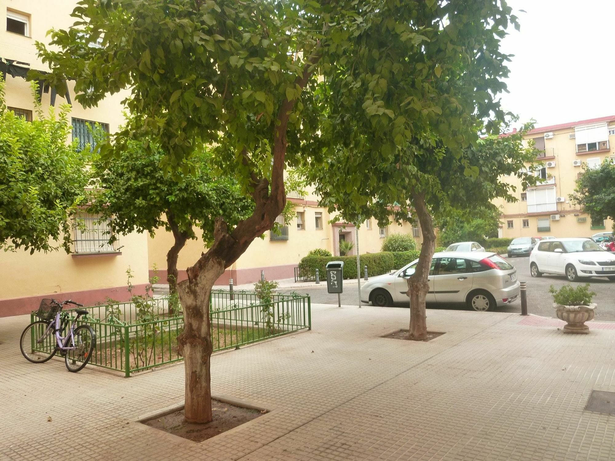With 2 Bedrooms In Sevilla, With Wifi Apartamento