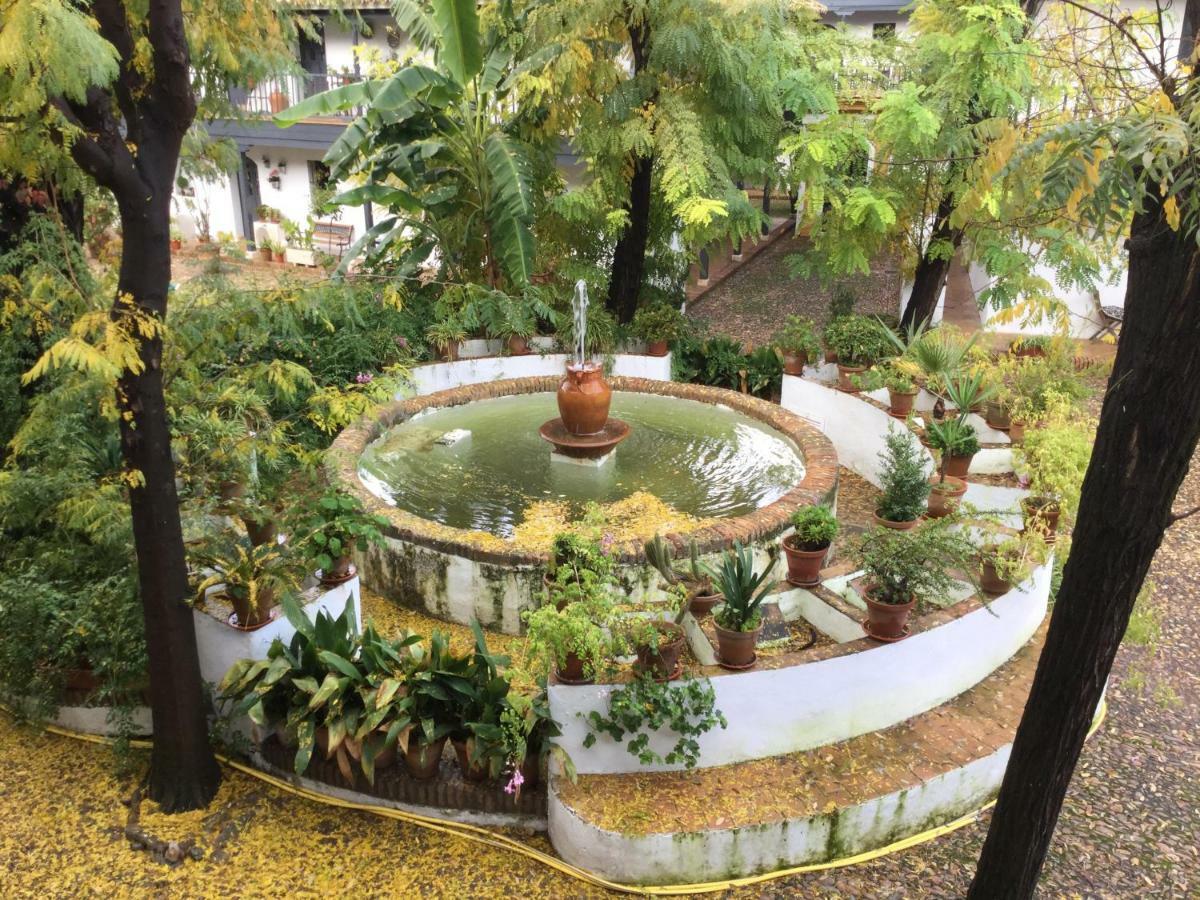 Andalusian Courtyard Apartment
