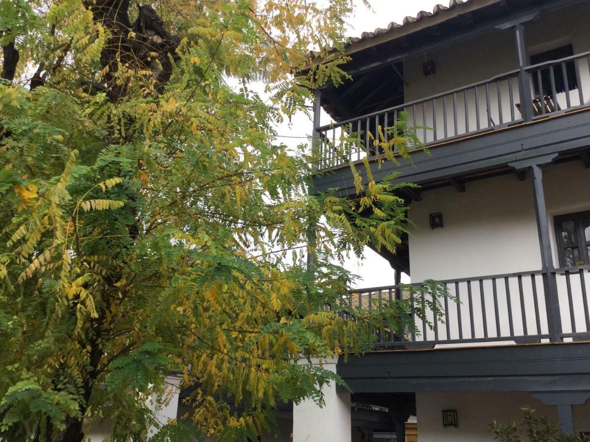 Andalusian Courtyard *