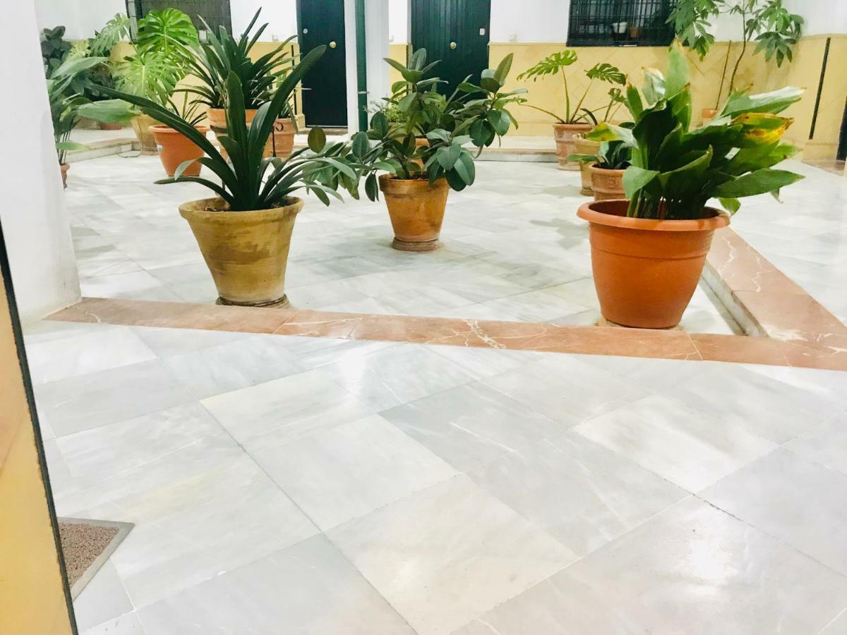 Apartment Patios De La Juderia *