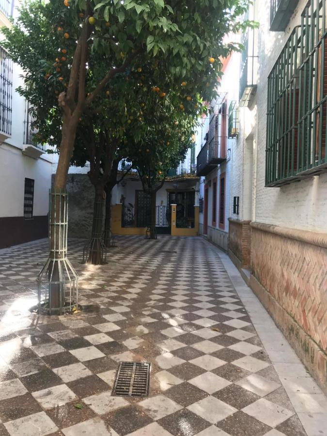 Flamenco * Seville