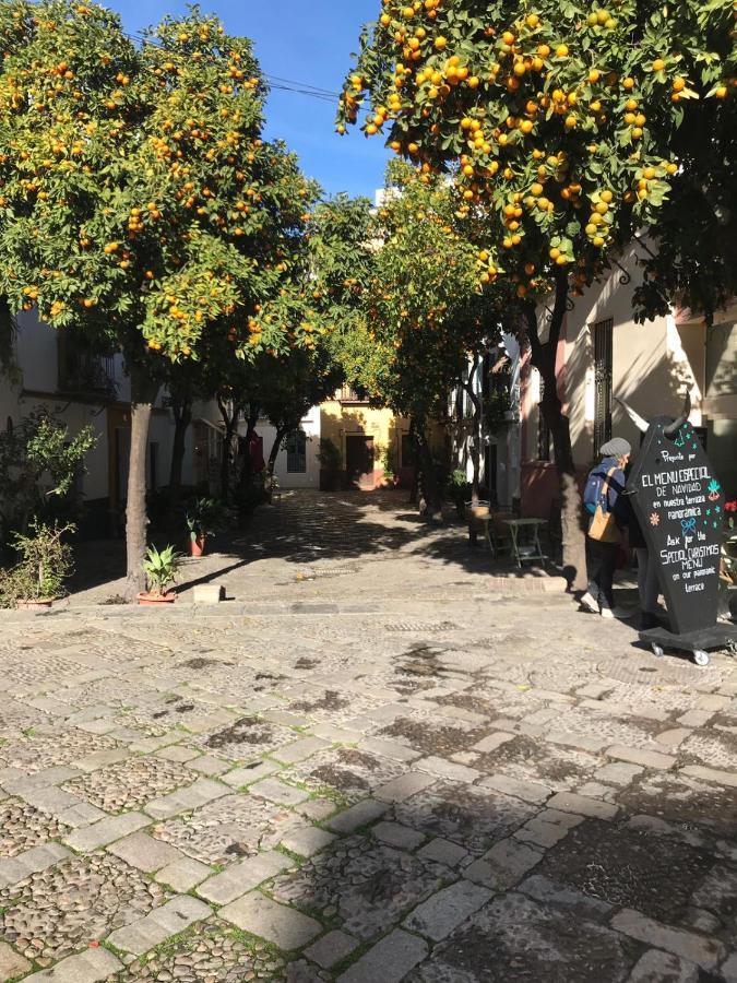 Bed & Breakfast Flamenco Seville