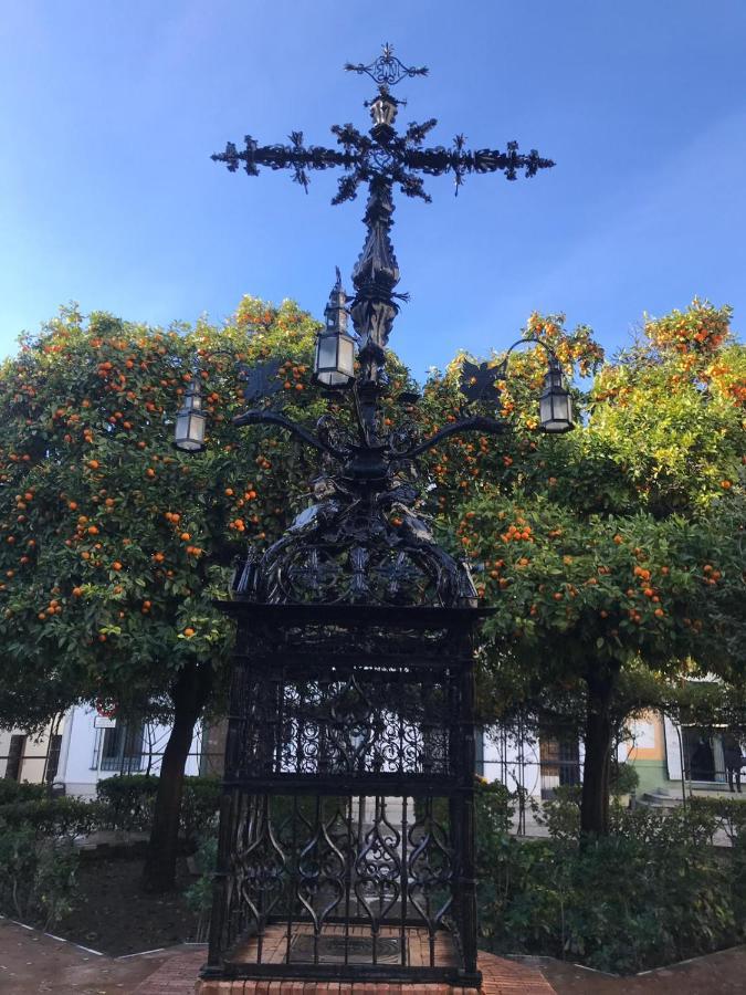 Flamenco Seville