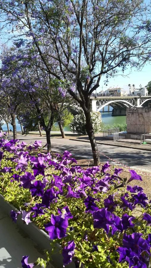 Apartment Anna - Triana *